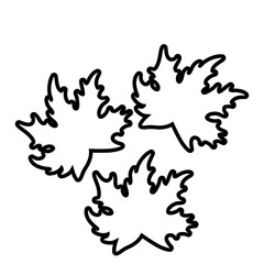 autumn season leafs plant pattern decoration line style
