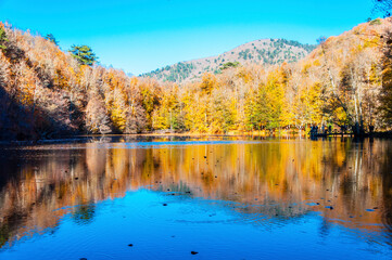 Obraz premium Yedigoller or Seven Lakes National Park in Turkey