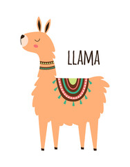 cute llama isolated on white, vector illustration