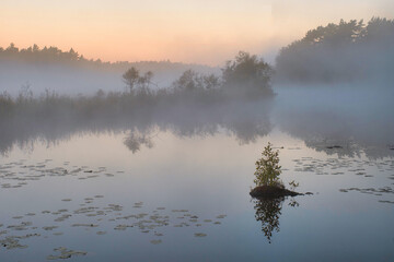Misty Morning - Delsjön - Sweden - Foggy day