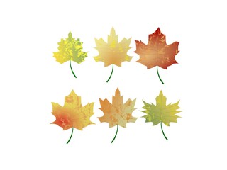 autumn leaves on white background - 3d rendering