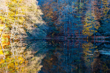 Yedigoller or Seven Lakes National Park in Turkey