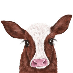 Cute christmas cow portrait. New year 2021. Christmas bull. Cute calf. Santa hat