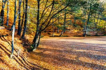 Yedigoller or Seven Lakes National Park in Turkey