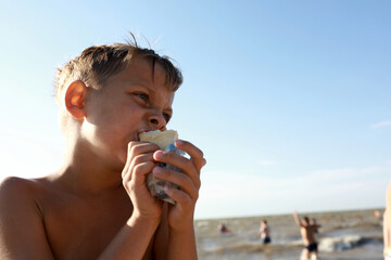 Boy eating ice cream on beach