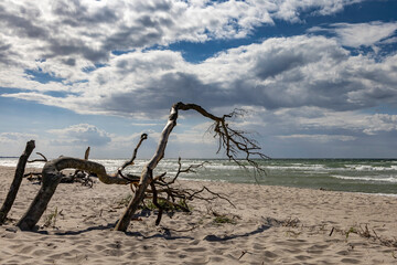 Strandstimmung