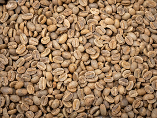 raw not roasted coffee beans from africa 