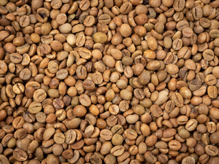 raw not roasted coffee beans from africa 