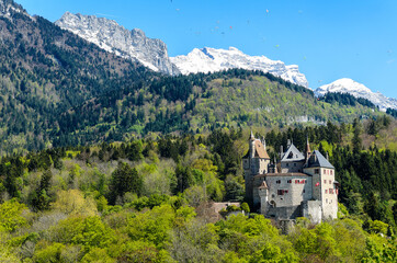 Fototapeta na wymiar View of the Castle of Menthon-Saint-Bernard (Château de Menthon-Saint-Bernard) surrounding the forest and the Alps. Switzerland