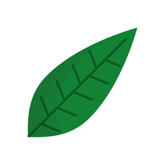 leaf plant ecology isolated icon