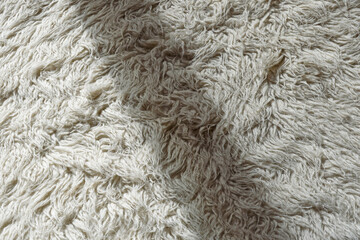Wool texture. Top view of a sheep skin close-up.