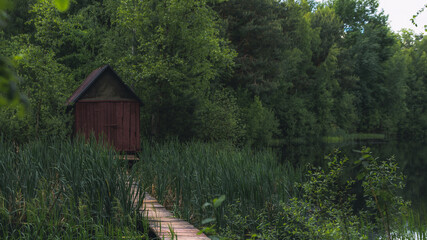 Dom w głębi lasu © spacer.z.aparatem 