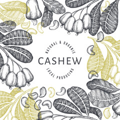 Hand drawn sketch cashew design template. Organic food vector illustration on white background. Vintage nut illustration. Engraved style botanical background.