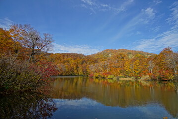 Autumn landscape. Autumn is a wonderful time of the year, with beautiful colors and a peaceful atmosphere around, Japan