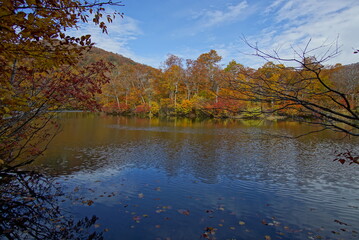 Fototapeta premium Autumn landscape. Autumn is a wonderful time of the year, with beautiful colors and a peaceful atmosphere around, Japan