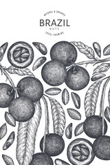 Hand drawn brazilian nut branch and kernels design template. Organic food vector illustration on white background. Retro nut illustration. Engraved style botanical banner.