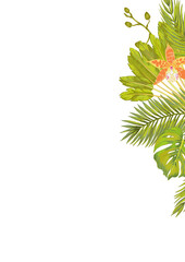 Vector template for gretting cards, wedding cards with orchid flower, areca palm, bamboo leaves