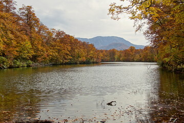 Soft autumn landscape view with the lake in Nagano, Japan.