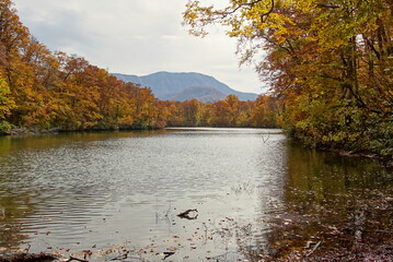 Soft autumn landscape view with the lake in Nagano, Japan.