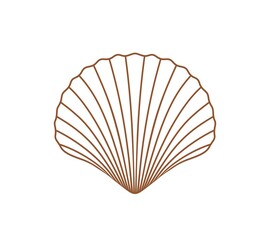 Scallop outline. Isolated scallop  on white background