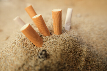 Isolated used cigarette butts discarded on sandy sea beach,ecosystem habitat pollution