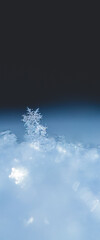 natural snowflakes on snow, photo real snowflakes during a snowfall, under natural conditions at low temperature. copy space and blue background