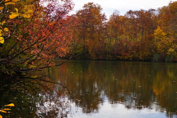 Colorful autumn landscape.Nature background. the lake in the autumnal forest, Japan