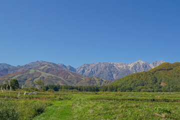 Fototapeta na wymiar sunny autumn panorama of countryside in Japan, Hakuba valley