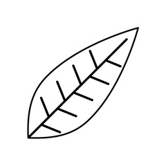 leaf plant ecology isolated icon