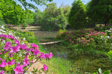 Fototapeta na wymiar Wuhan East lake Forest Park scenery in spring