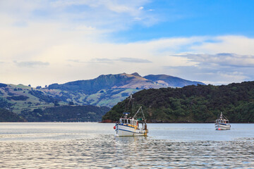 Fishing boats on the water, with scenic coastal hills in the background. Akaroa Harbour, New Zealand