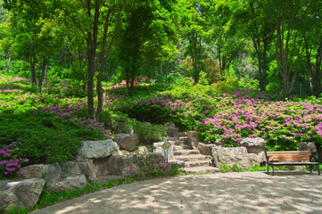 Wuhan East lake Forest Park scenery in spring