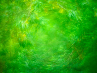 Abstract wallpaper. Blur park garden tree in nature background.