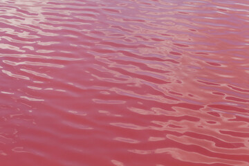 Pink salt lake water background