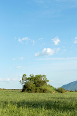 Imagen vertical de paisaje de campo y cielo