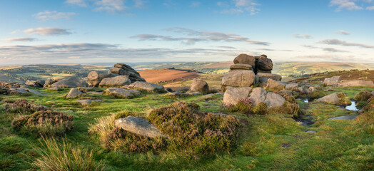 Epic colorful landscape view of late Summer heather in Peak District around Higger Tor at sunrise