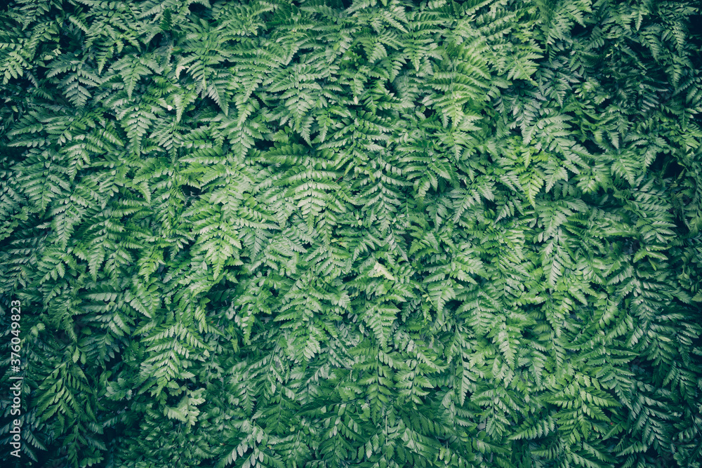 Poster green leaf background overlapping as a background to place text