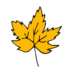 Naklejka na ściany i meble Yellow flat maple tree leaf illustration in vector. Maple tree leaf icon in vector