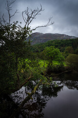 Forth river in Aberfoyle, Loch Lomond and The Trossachs National Park, Scotland