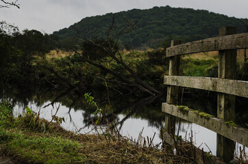 Forth river in Aberfoyle, Loch Lomond and The Trossachs National Park, Scotland