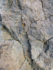 Cracked volcanic rock background. Surface of fissured quartzite stone. Web banner for your design. Cracked lava textured ground