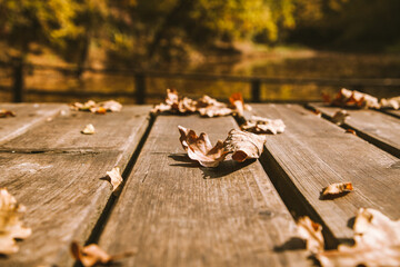 autumn background colorful foliage on wooden background