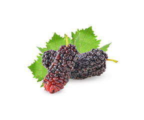 mulberry fruit on white background