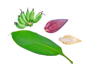Local Thai Banana on white background