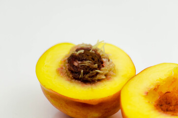 world vegetarian and vegan food day