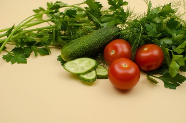 world vegetarian and vegan food day