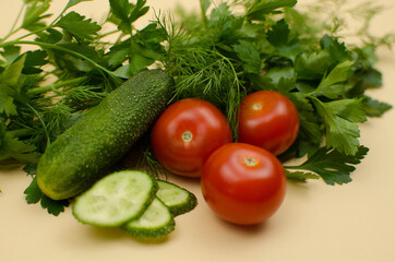 world vegetarian and vegan food day