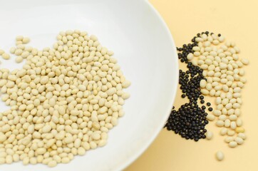 world vegetarian and vegan food day