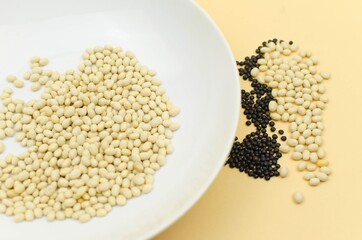 world vegetarian and vegan food day