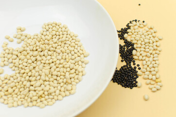 world vegetarian and vegan food day